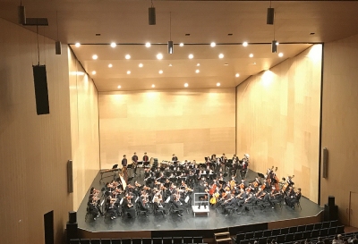 Virtuosos de Ávila. Concierto de alumnos del Conservatorio Profesional  Tomás Luis de Victoria