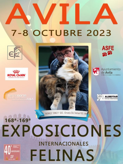 168 y 169 Exposiciones internacionales Felinas 